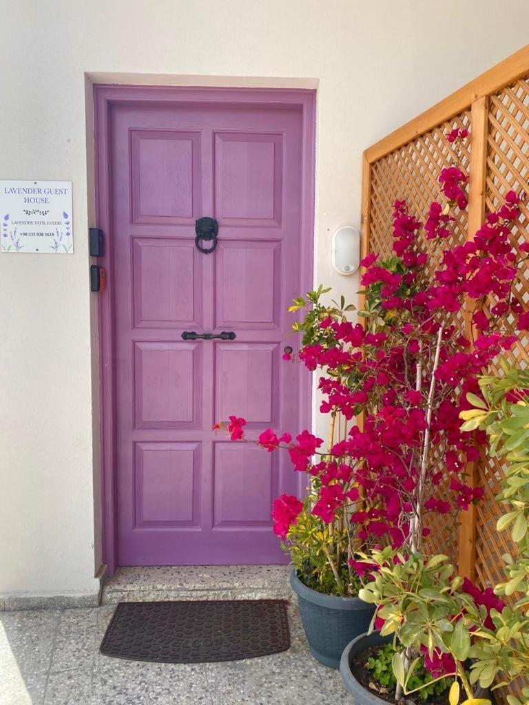 Lavender Homes, Walled City Αμμόχωστος Εξωτερικό φωτογραφία